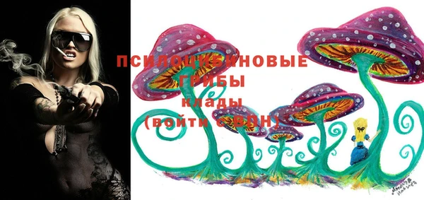 прущая мука Вязьма