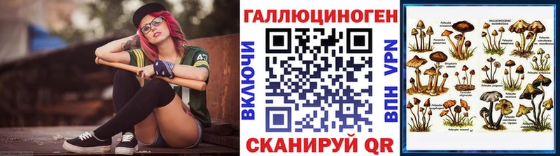 Псилоцибиновые грибы Cubensis цена Поворино